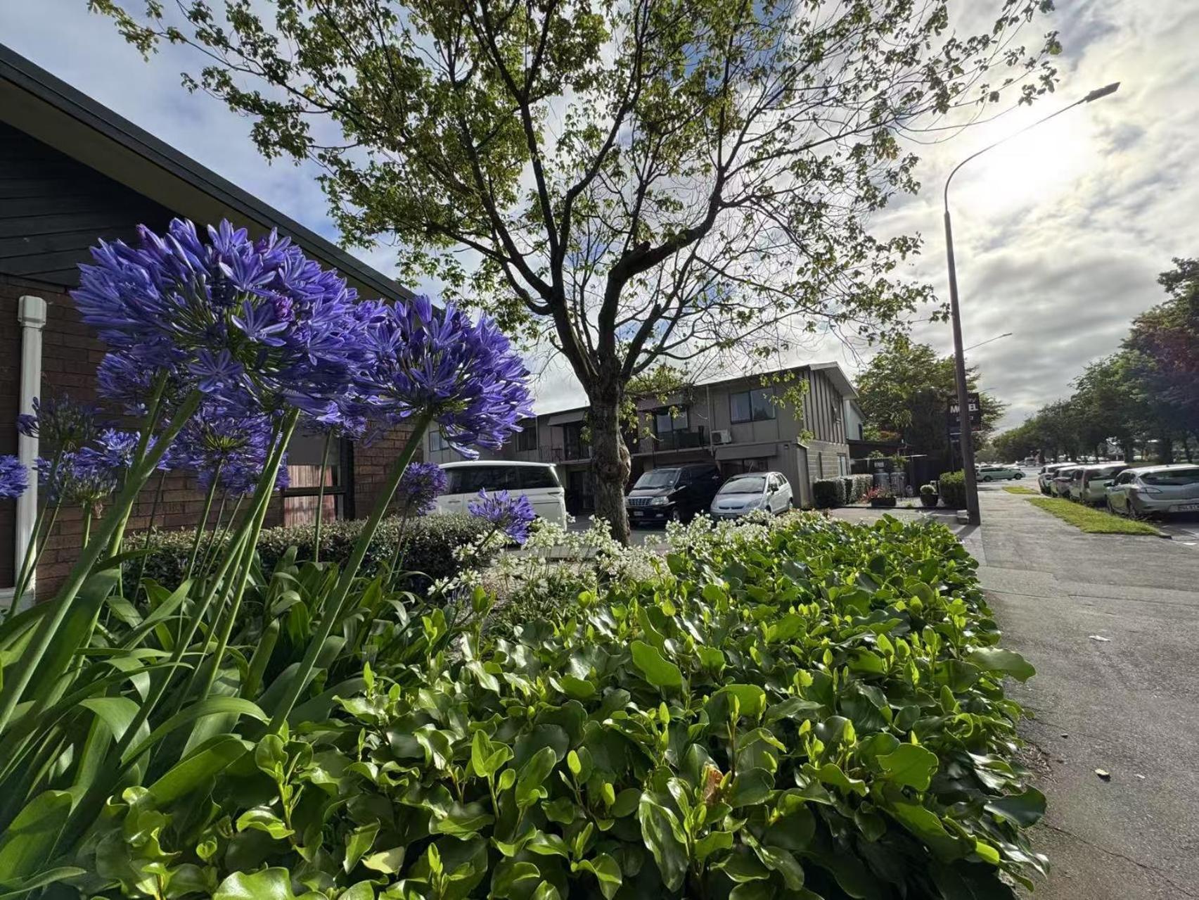 Abbey Motor Lodge Christchurch Eksteriør bilde